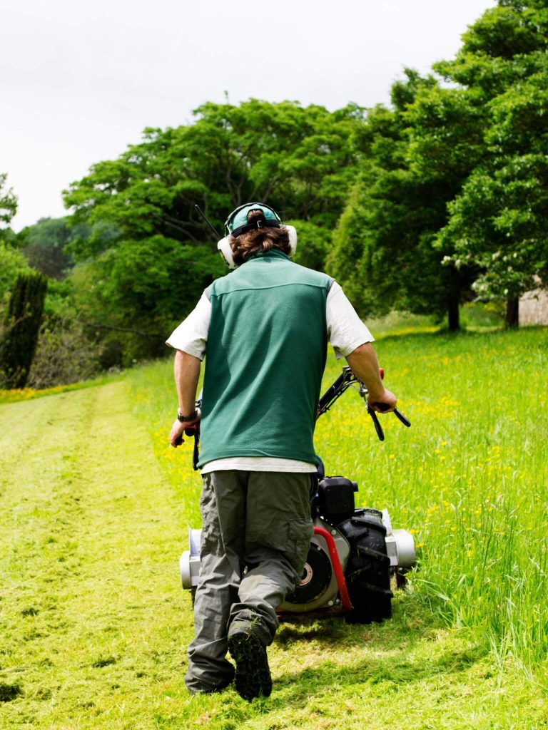 Cutting grass in a garden