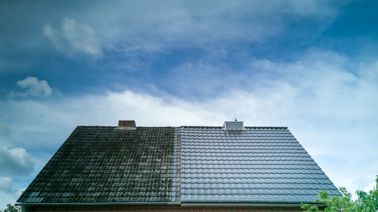 Roof Cleaning