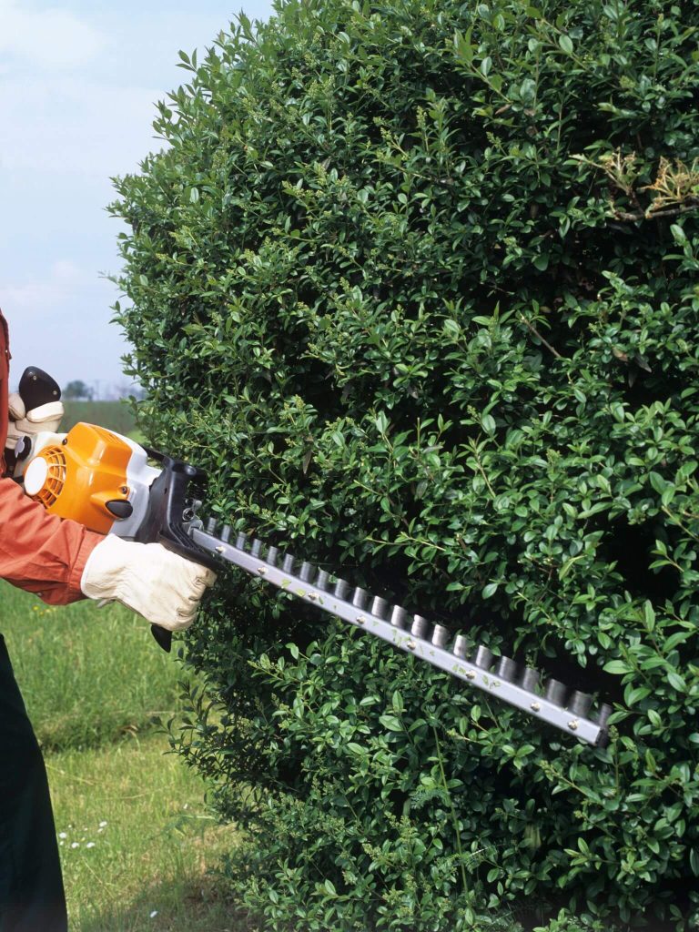 Trimming hedges