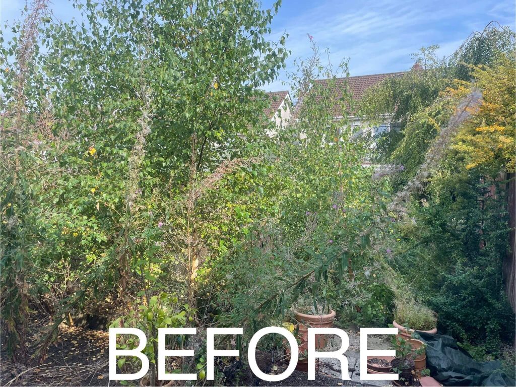 before garden work