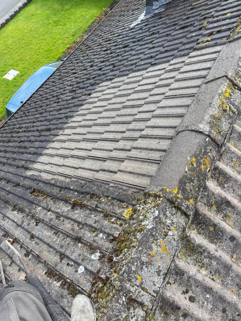 cleaning moss from roof